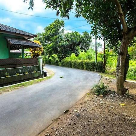 Villa Amalura I Yogyakarta Exterior foto